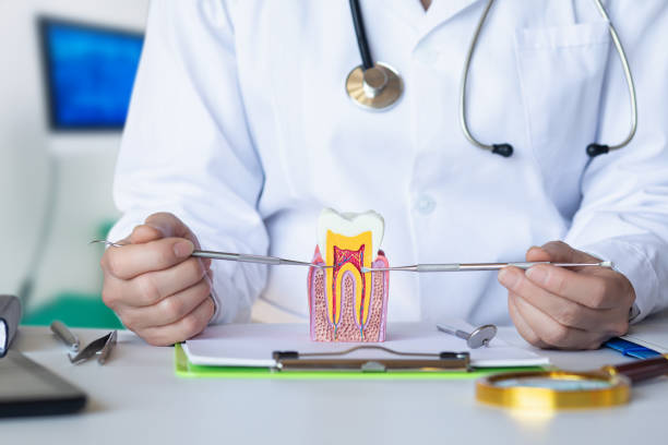 Best Emergency Root Canal Therapy in West Hattiesburg, MS
